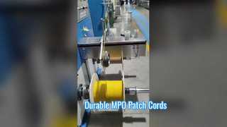 Представляем 8-ядерный 12-жильный патч-корд MPO с оплеткой из ПЭТ для вас